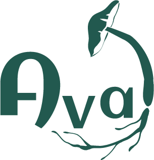 Logo Ava